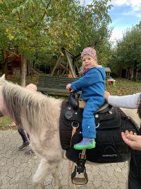 Pony reiten auf dem Bauernhof Klein_1